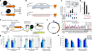 High-throughput retrieval of target sequences from complex clone libraries using CRISPRi