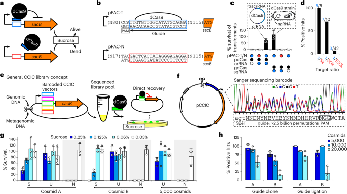 High-throughput retrieval of target sequences from complex clone libraries using CRISPRi