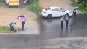 Humanity still alive: College students help weak stray dog from rain, Watch