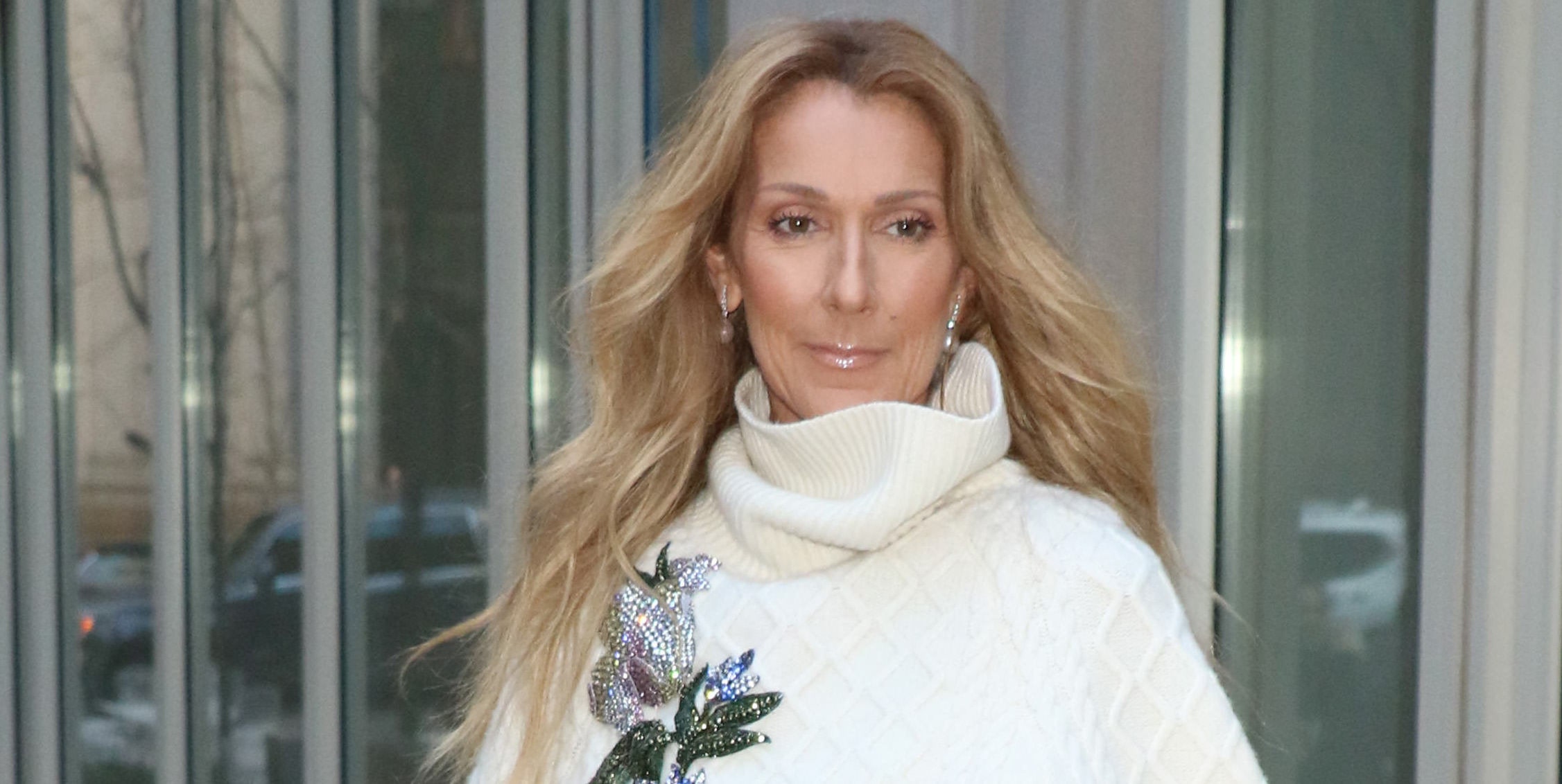 Celine Dion Diagnosed With Incurable Neurological Syndrome