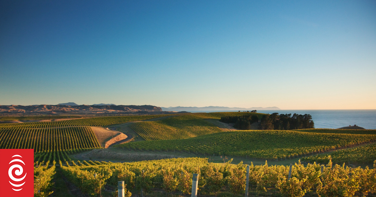 Marlborough winemakers celebrate UK Tesco contract and huge US market growth