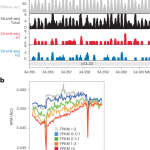 Single-cell multi-omics allows functional characterization of structural variants