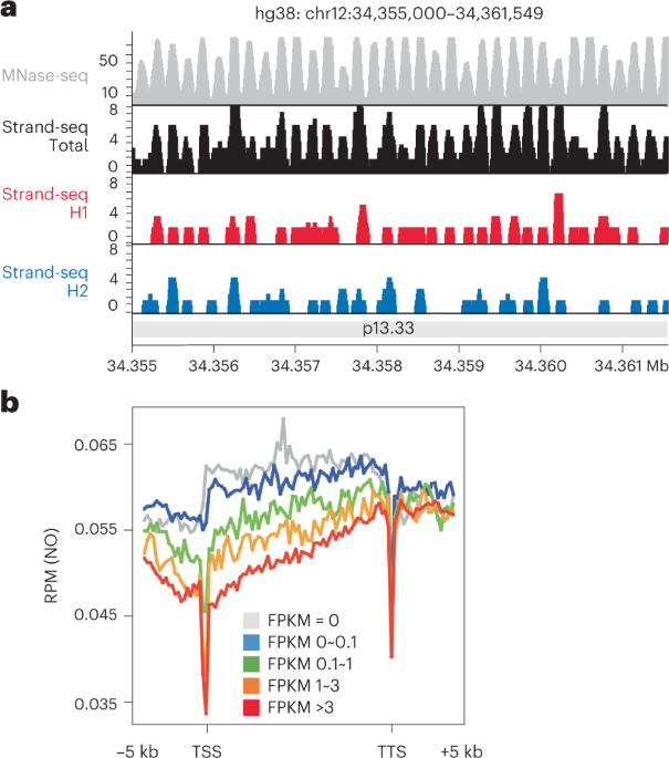 Single-cell multi-omics allows functional characterization of structural variants