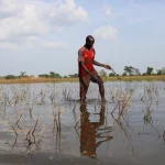 Torrential floods impact food security in West, Central Africa