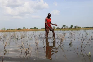 Torrential floods impact food security in West, Central Africa