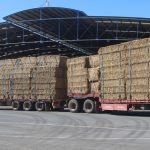 ‘Brings a tear to the eye’: Donations arrive for flooded farmers