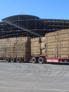 ‘Brings a tear to the eye’: Donations arrive for flooded farmers