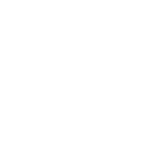 The Young Musician Music Institute Offers Different Music Lessons for Children, Beginners, and Adults