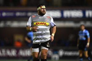 Stormers prepared to face the ‘walking dead’ London Irish