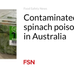 Contaminated fresh spinach poisons 50 in Australia