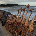 WATCH | Visitors bask in the sun at ECape beaches