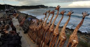 WATCH | Visitors bask in the sun at ECape beaches