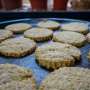 Oat biscuit best for busy NHS staff tea breaks, study finds