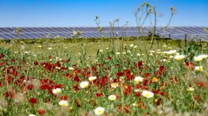 European Commission reduces approval time for renewables to 9 months