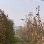 J&K government introduces drones for spraying fertilisers, pesticides in orchards