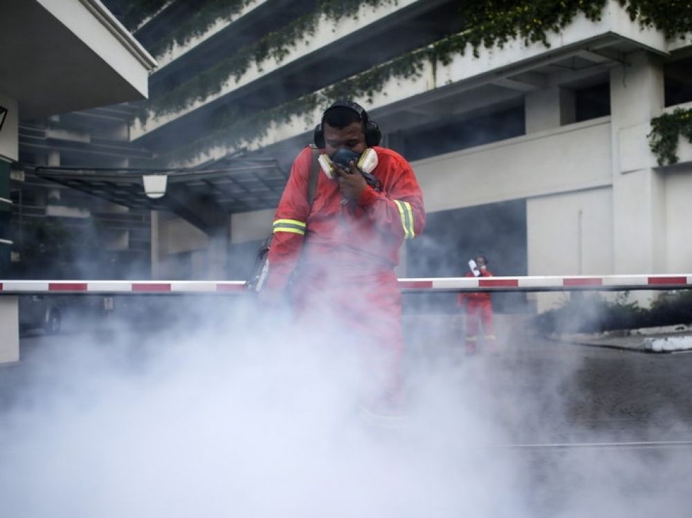 Dengue cases up 4.2% last week