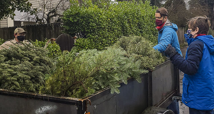 Area residents can reduce holiday waste by recycling Christmas trees