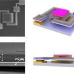 Development of a novel technology to check body temperature with smartphone camera