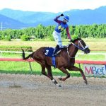 Two graded stakes Boxing Day | Local Sports | trinidadexpress.com