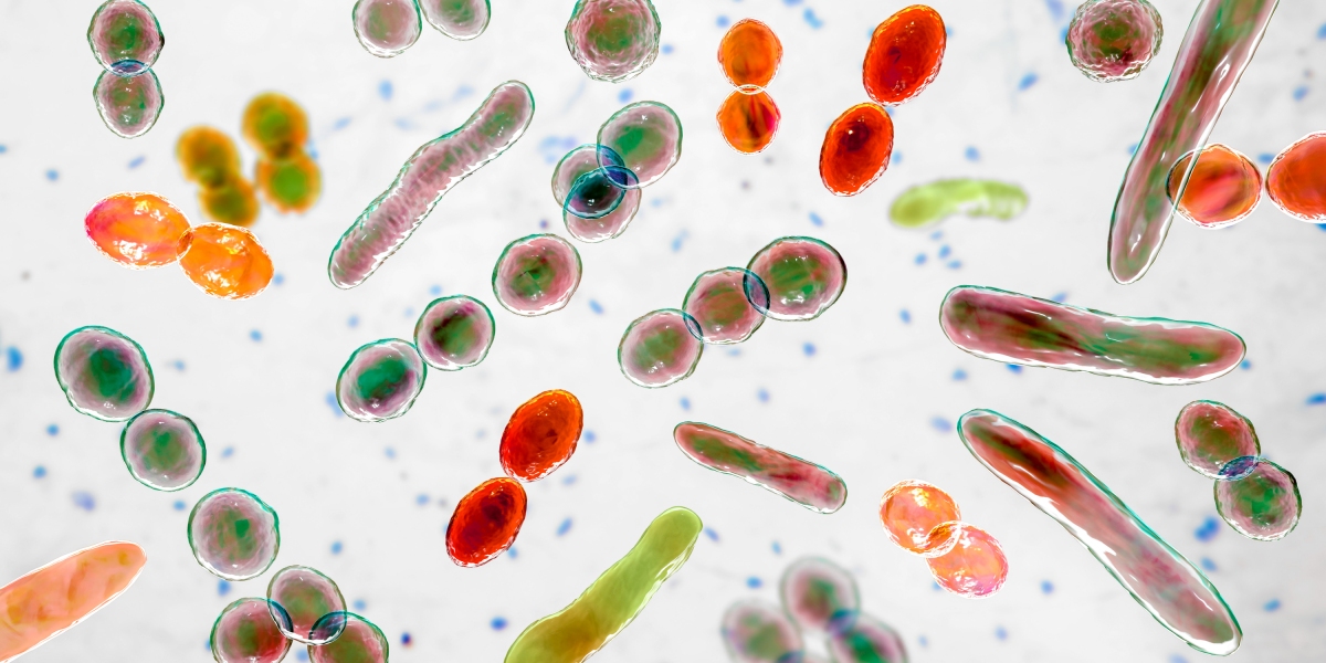 Your microbiome ages as you do—and that’s a problem