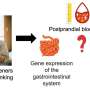 Xanthan gum-based fluid thickener can help decrease blood glucose levels