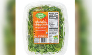 Wegmens Recalls Spinach Mix, Micro Greens Over Possible Salmonella Contamination