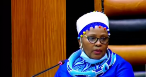 Parliament Fire | Nehawu’s concerns are misplaced -Nqakula