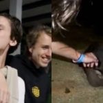 Hello, police? Drunk YouTubers trespass into animal enclosures at Night Safari, Singapore News