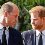 How Prince William knocked me to the floor over argument on Meghan —Prince Harry