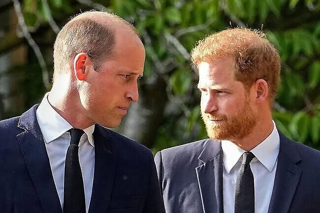 How Prince William knocked me to the floor over argument on Meghan —Prince Harry