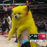 “NBA Does Anything for Money”:Sports World in Fumes Over Dog Owner Facing Trouble for Major Pokémon Tribute During Jazz vs Bulls