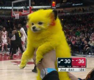 “NBA Does Anything for Money”:Sports World in Fumes Over Dog Owner Facing Trouble for Major Pokémon Tribute During Jazz vs Bulls