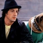 Tragic Story of Butkus: The Dog Sylvester Stallone Was Forced to Sell Before ‘Rocky’