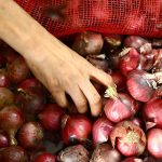 Onion price drops after import approval