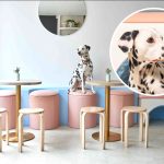 ‘I Opened Up a Dog Cafe. Customers Say It’s Changed Their Lives’