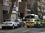 Four people including a seven-year-old girl are injured in shooting outside funeral in London