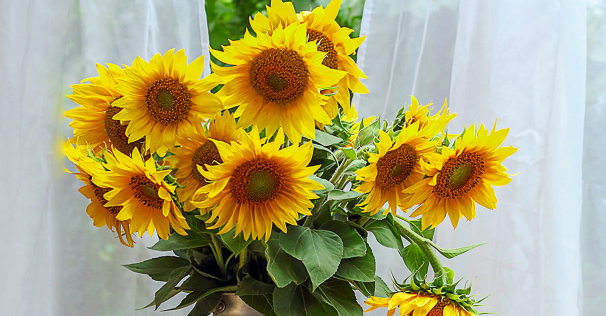 Decorating with Sunflowers