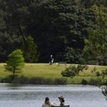 ‘Healthier hearts’ for city dwellers who live closer to trees. Australian researchers find out why