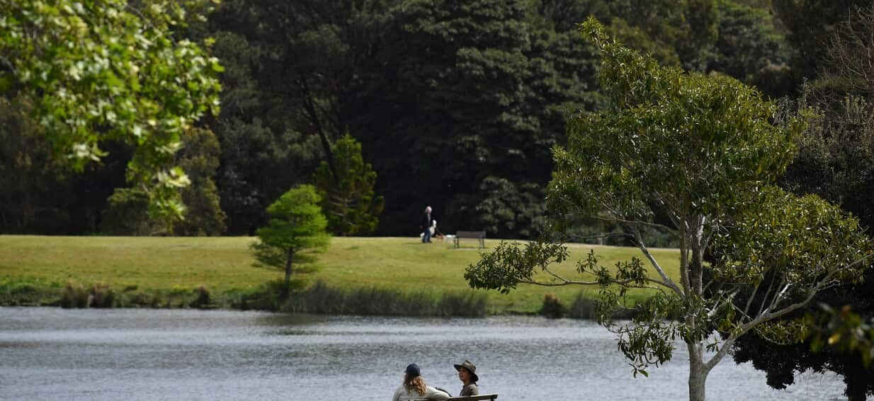 ‘Healthier hearts’ for city dwellers who live closer to trees. Australian researchers find out why