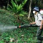 Poisoned by pesticides: Health crisis deepens in Brazil’s Indigenous communities