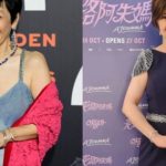 Golden Horse: Hong Huifang and Ajoomma left empty-handed, Sylvia Chang wins Best Actress, Entertainment News