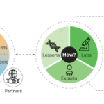 How to grow (almost) anything: a hybrid distance learning model for global laboratory-based synthetic biology education