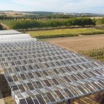 BayWa r.e. supports agrivoltaics research with four pilot projects