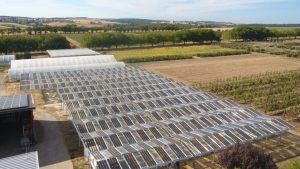 BayWa r.e. supports agrivoltaics research with four pilot projects