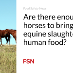 Are there enough wild horses to bring back equine slaughter for human food?