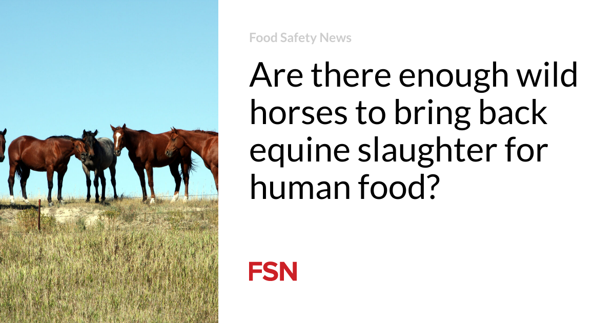 Are there enough wild horses to bring back equine slaughter for human food?