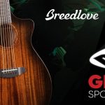 Breedlove Wildwood Solo Series Demo