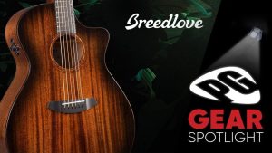 Breedlove Wildwood Solo Series Demo