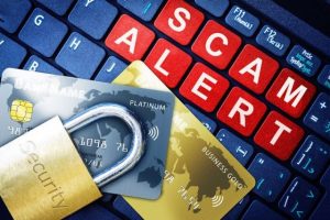 How to spot a cyber scam as we head into Black Friday and festive season