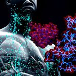 How diabetes causes the immune system’s defence against infection to malfunction